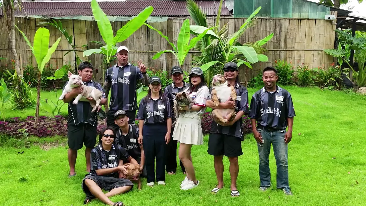 The Nolo Hub Pai team on the lawn in their Nolo Hub Pai shirts, holding the hostel's four dogs
