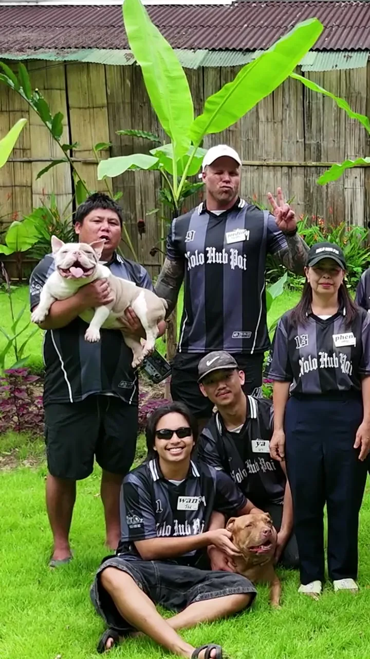 The Nolo Hub Pai team on the lawn in their Nolo Hub Pai shirts, holding the hostel’s four dogs