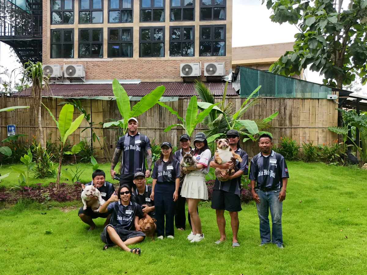 The Nolo Hub Pai team and the four dogs on the lawn, with the hostel building behind