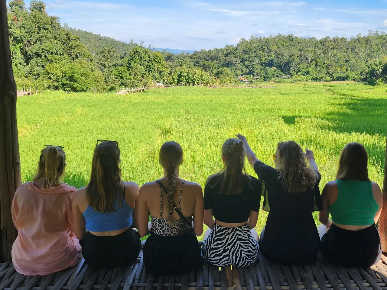 Six guests sitting under a bamboo shelter, looking out over a field of tall green rice by the Bamboo Bridge, with forested hills behind