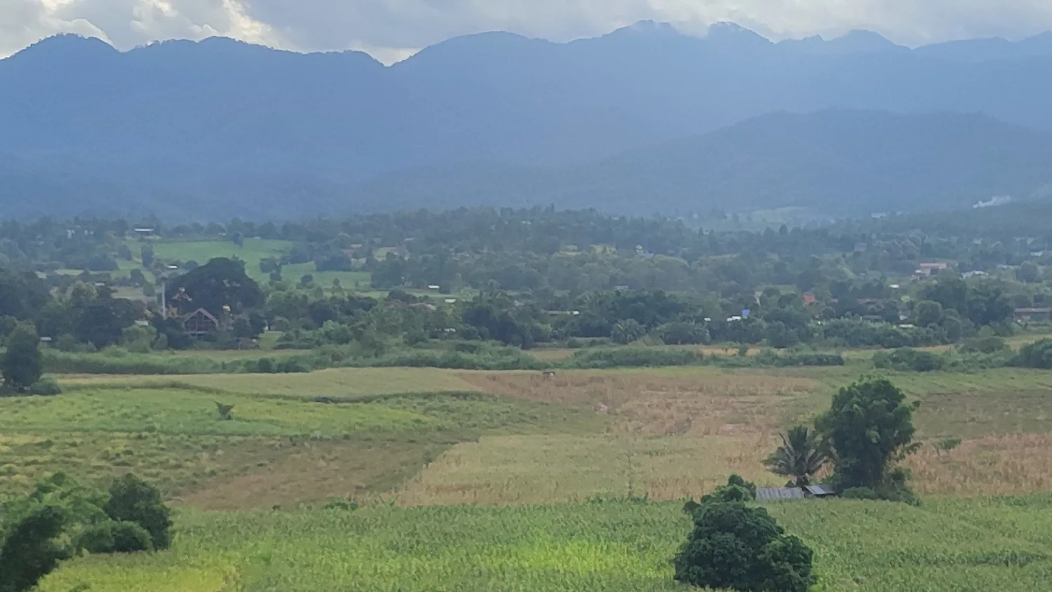 The valley floor in August seen from Two Huts, green fields and trees stretching to the mountains under low cloud