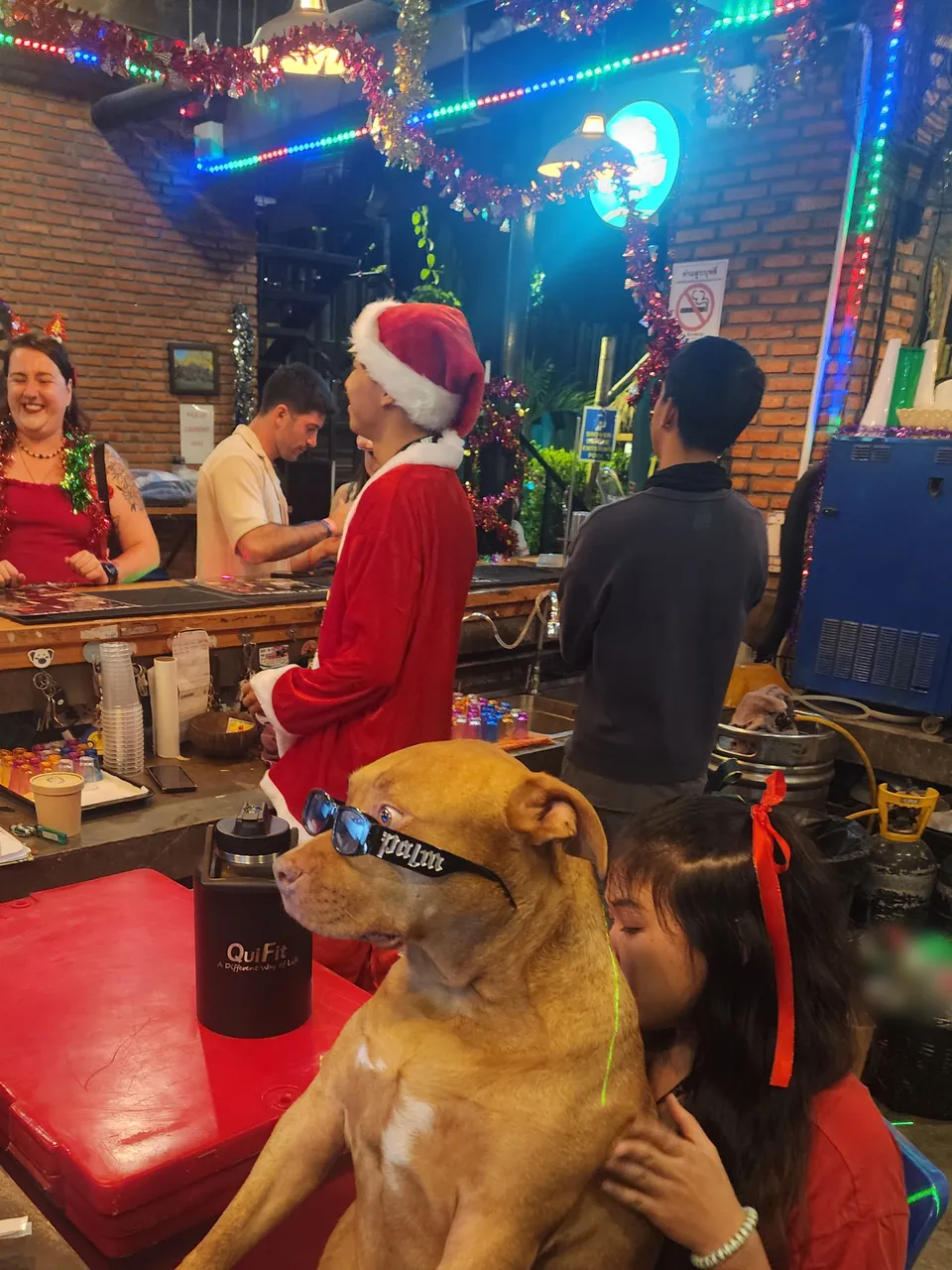 Christmas night at the Nolo Hub Pai bar: a team member in a Santa suit, tinsel and coloured lights overhead, and a brown dog in sunglasses sitting up on a staff member's lap