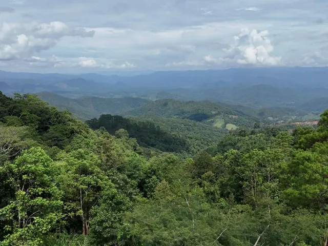 Forested mountains rolling away from the Doi Kiew Lom viewpoint