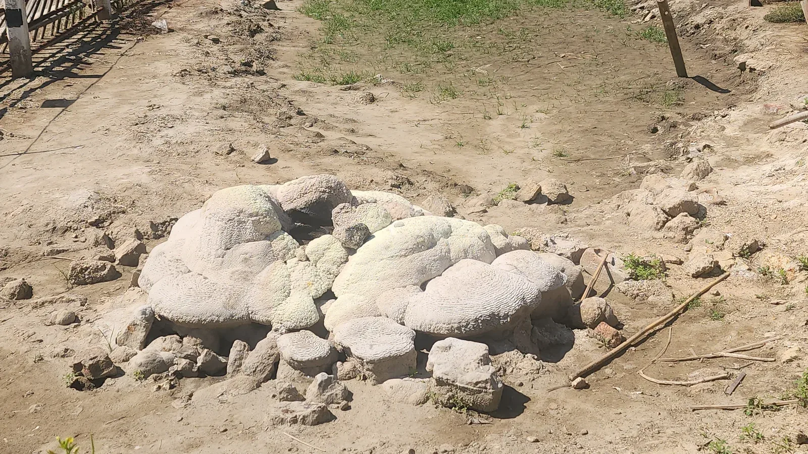 The wellhead at Muang Rae with no water flowing, on 6 May 2025