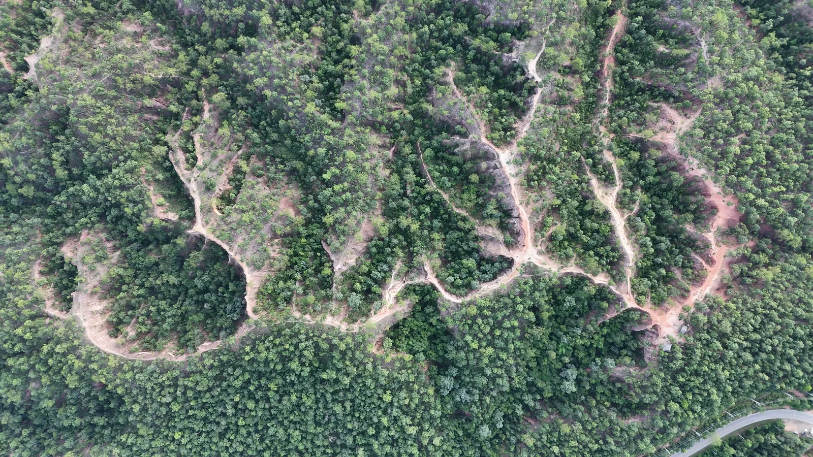 Erosion gullies cutting through the forest around Pai Canyon, seen from directly above