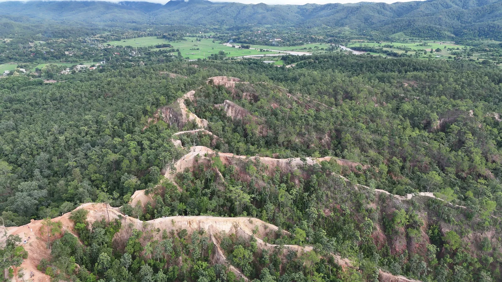 Pai Canyon’s ridges winding through the pine forest, from above