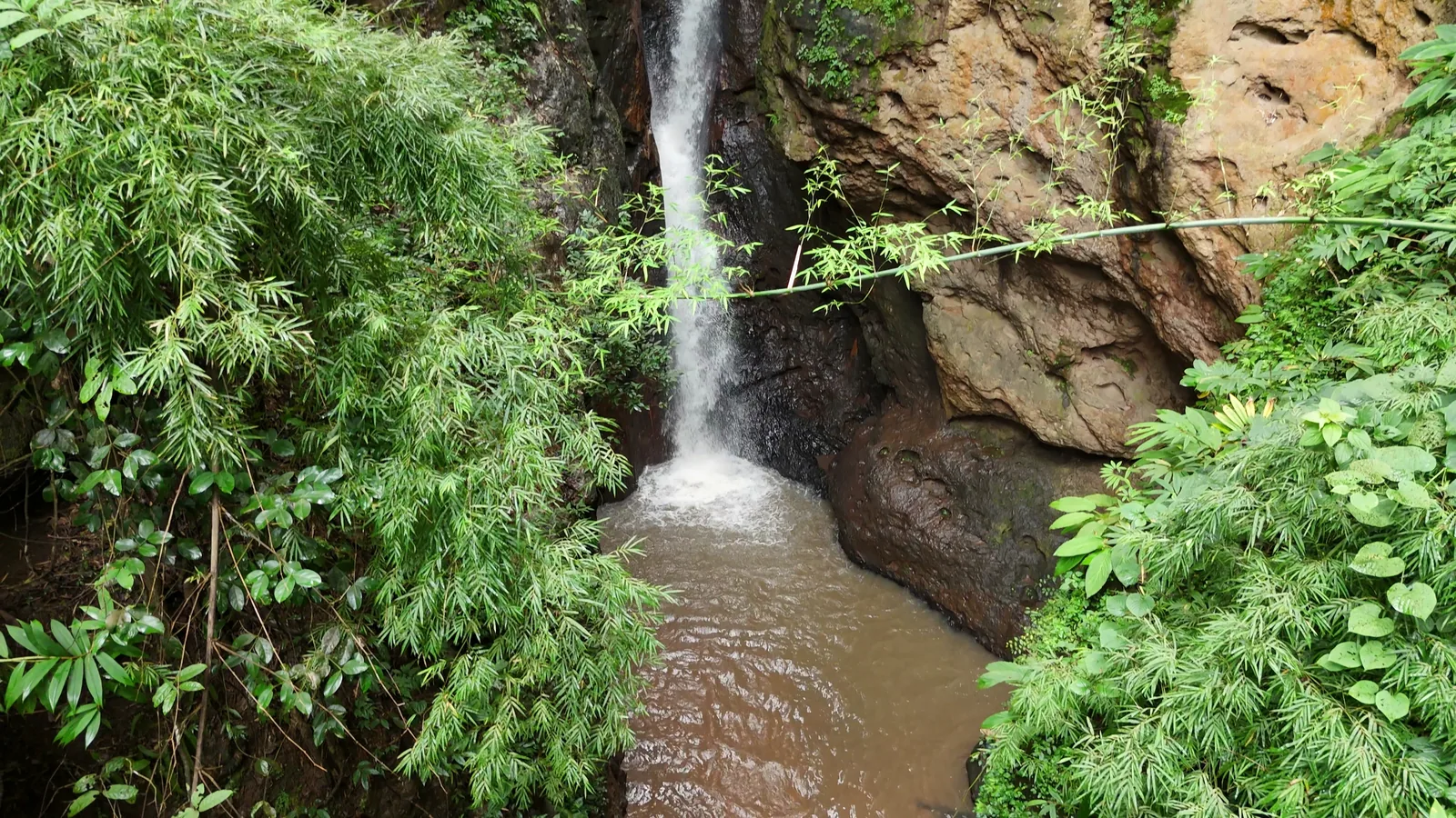 Pam Bok Waterfall framed by bamboo and the rock of the gorge