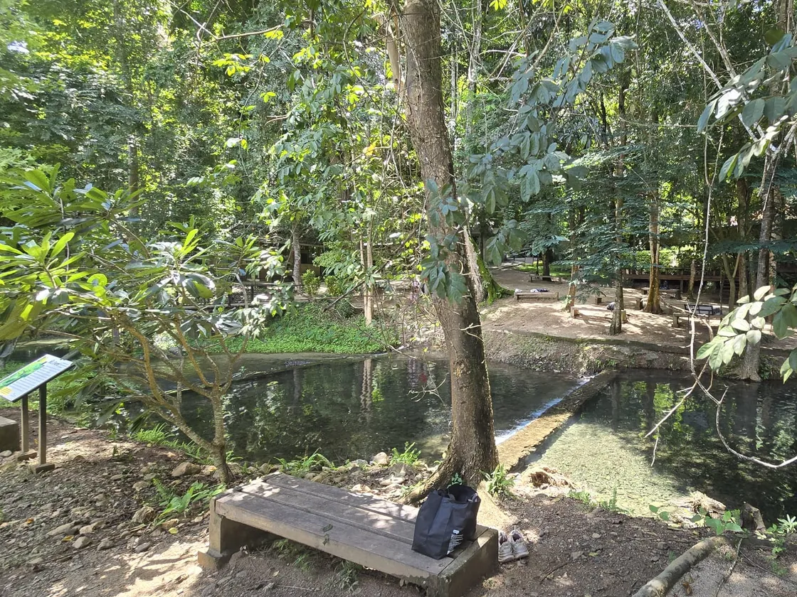 Two of Sai Ngam's clear pools under the trees, divided by a low stone weir, with a bench on the bank