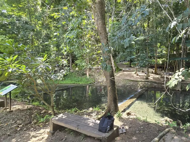 Two of Sai Ngam’s clear pools under the trees, divided by a low stone weir