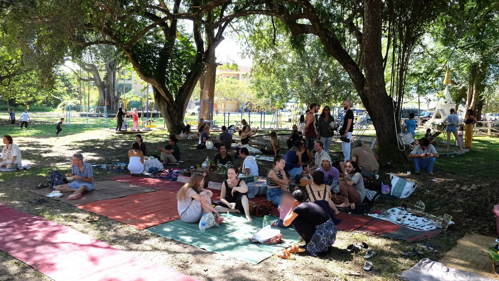 People sitting on mats and blankets on the grass under big shady trees in Bodhi Tree Park, the playground behind them