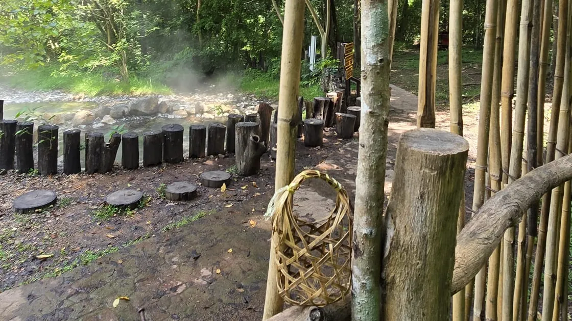 A woven bamboo egg basket hanging on the fence, with steam rising off the spring behind